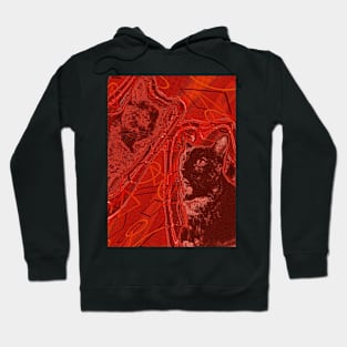 Halftone Cat V10 Hoodie